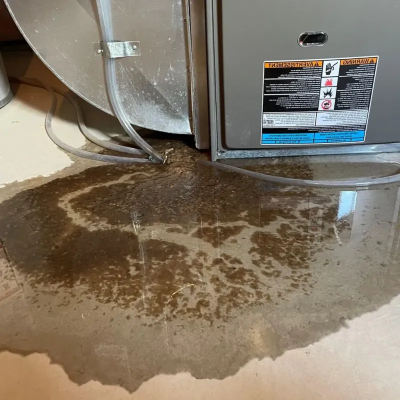 Pipe Burst and Leak Restoration in Chickasha, OK
