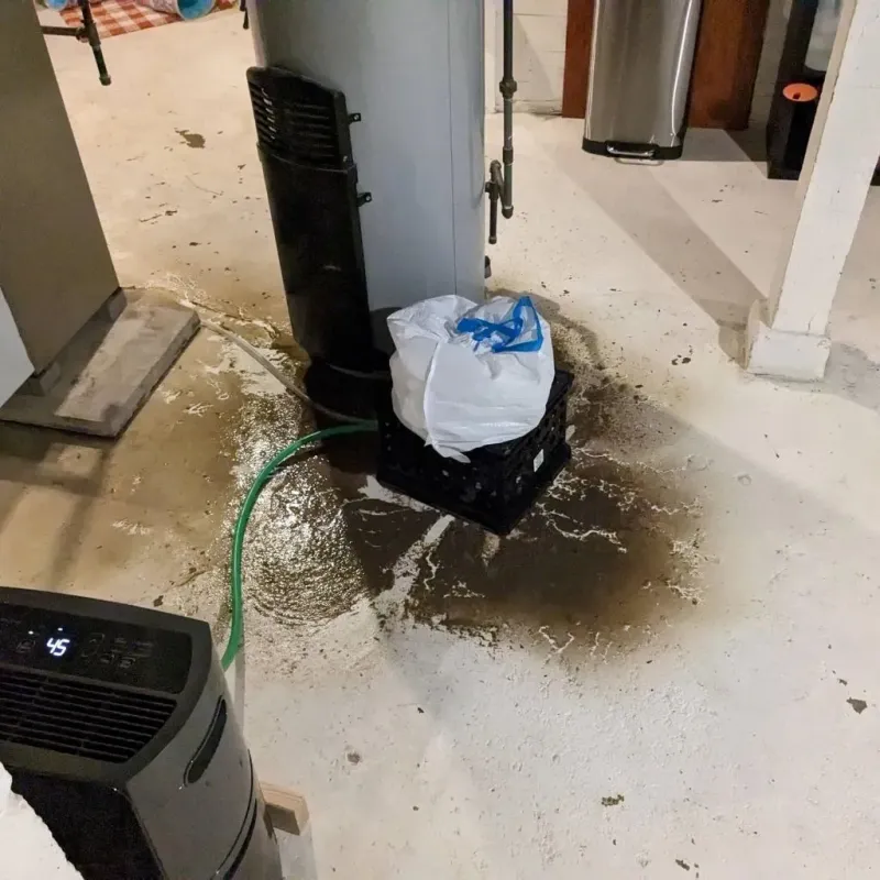 Sewage Backup Cleanup Service in Chickasha, OK